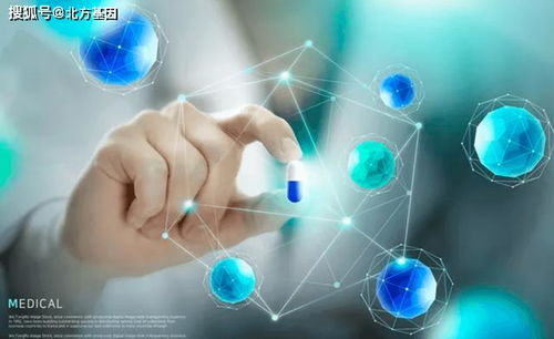 北方基因大健康 信息化時代大健康產(chǎn)業(yè)的變革與健康信息咨詢新生態(tài)